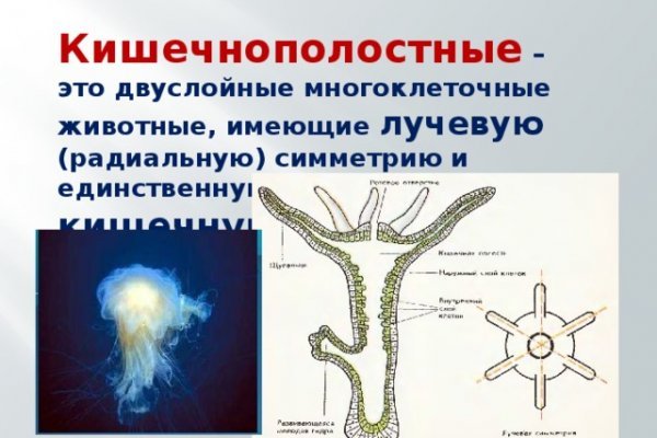 Кракен зеркало прокатис