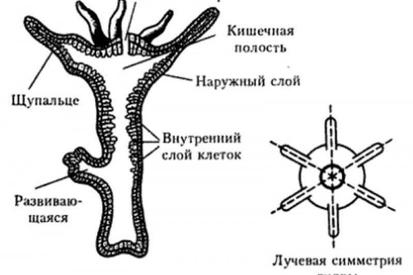 Зеркала кракен kraken014 com kraken014 com